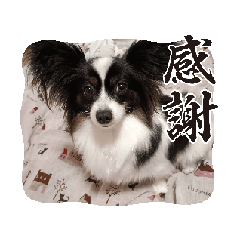 Kaoru_20250405205131