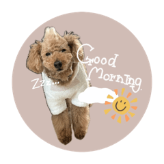mochi_20250405185850