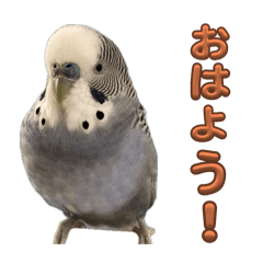 yuka_20250405211533