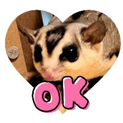 mokkuu
