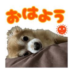 Ri_20250405212055
