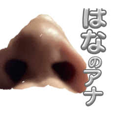 momo_20250405213145