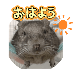 kaede_20250405181340