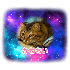 yuki_20250405200244
