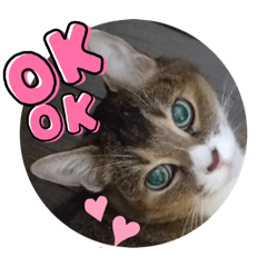 DOSUKOIREO