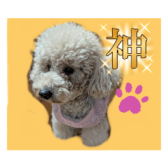 mari_20250405222435