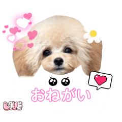 mei_20250405205829
