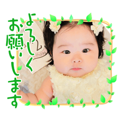 sakura_20250405223432