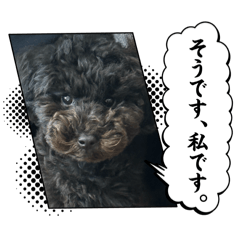mao_20250405230021