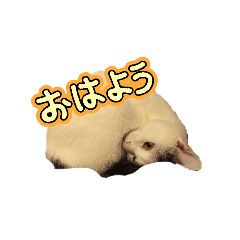 miumiu_20250405203135