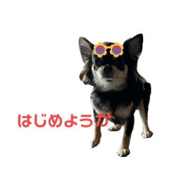 rina_20250405202917 – LINE貼圖 | LINE STORE