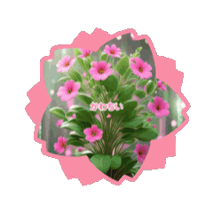 C_20250406081652
