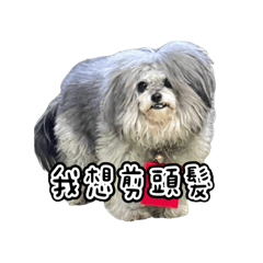陳做的貼圖