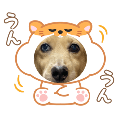 re_20250406010705