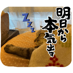 Emuri_20250405215334