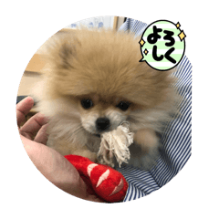 Yuchi111