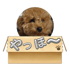 konatsu_20250406004225