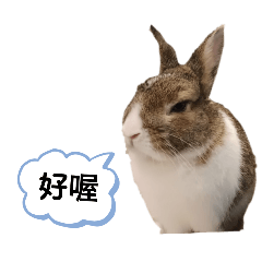 嘎逼無語貼圖