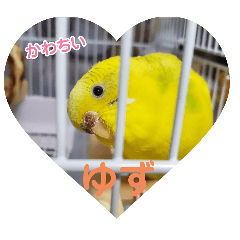 nami_20250406041835