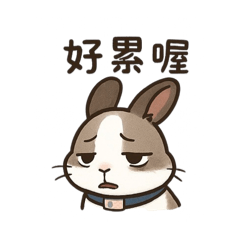 可愛兔子專屬貼圖