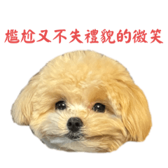 我是楊嘟比3.0