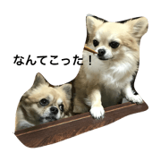 ren&pee stamp