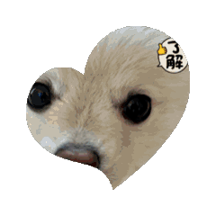 Suzu_20250406133818