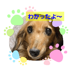 momo-s-stamp