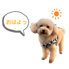 yuzu_20250405231324