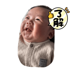 mao_20250405231748
