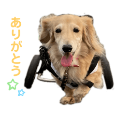 Matsuu_20250405231344