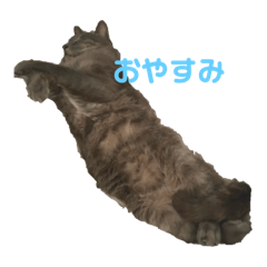 mina_20250406001108