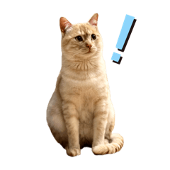 UNITA_20250406001743