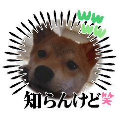 KURO_20250406003122