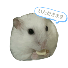 Hamster Yukichan Stamp