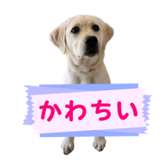 yuki_20250406014754