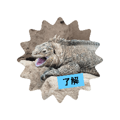 haru_20250406071923