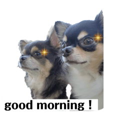 akimasamune_20250405124206