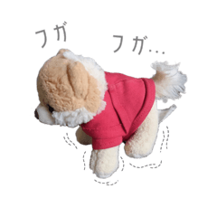 mie_20250406081522