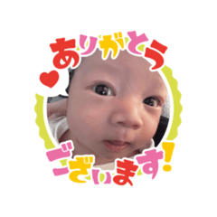 shiho_20250406073807