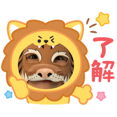 chihirortttttttt
