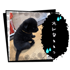 KURODAYO_20250406102015