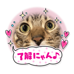 kono_20250406094738