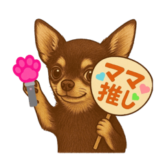 Chihuahuaaaa!!!②