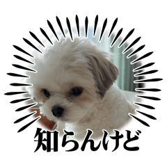 Yuri_20250406111404