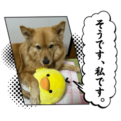 Ichi_20250406114943