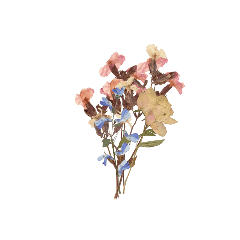 小花朵小草