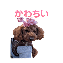 wataame_20250406122153