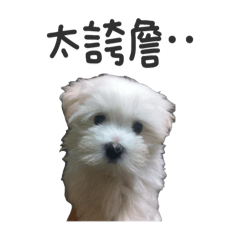 老大阿肥肥漫畫風