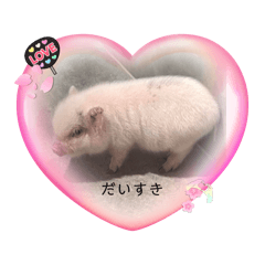Aoi_20250406125818
